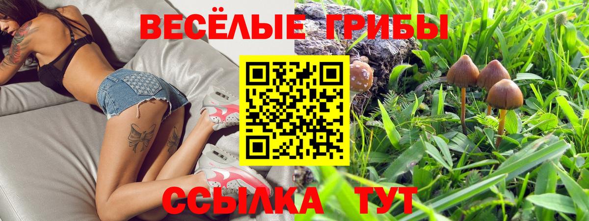 Галлюциногенные грибы мицелий Сальск