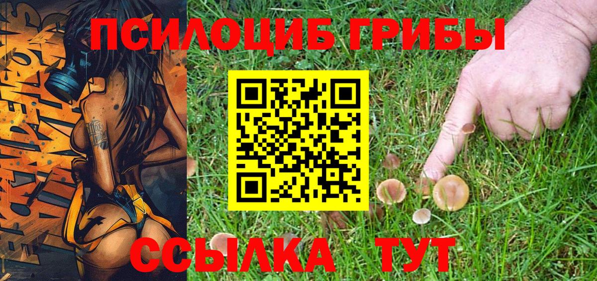 Сальск  Галлюциногенные грибы GOLDEN TEACHER  Вход с VPN 